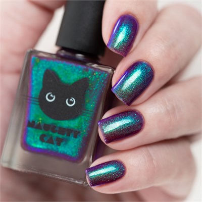 I didn't do it! 1086